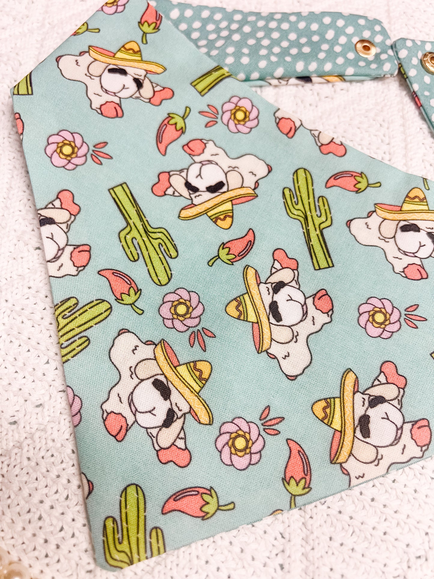 Fiesta Lamb