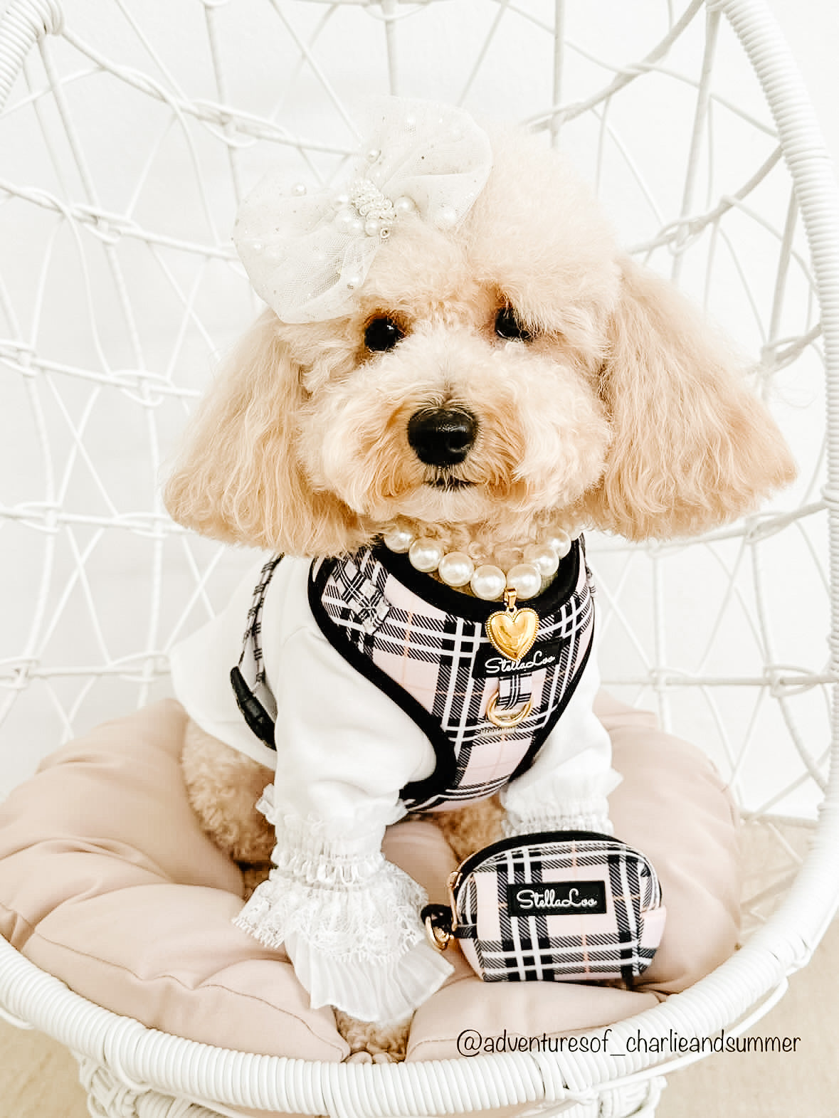 Plaid Harness