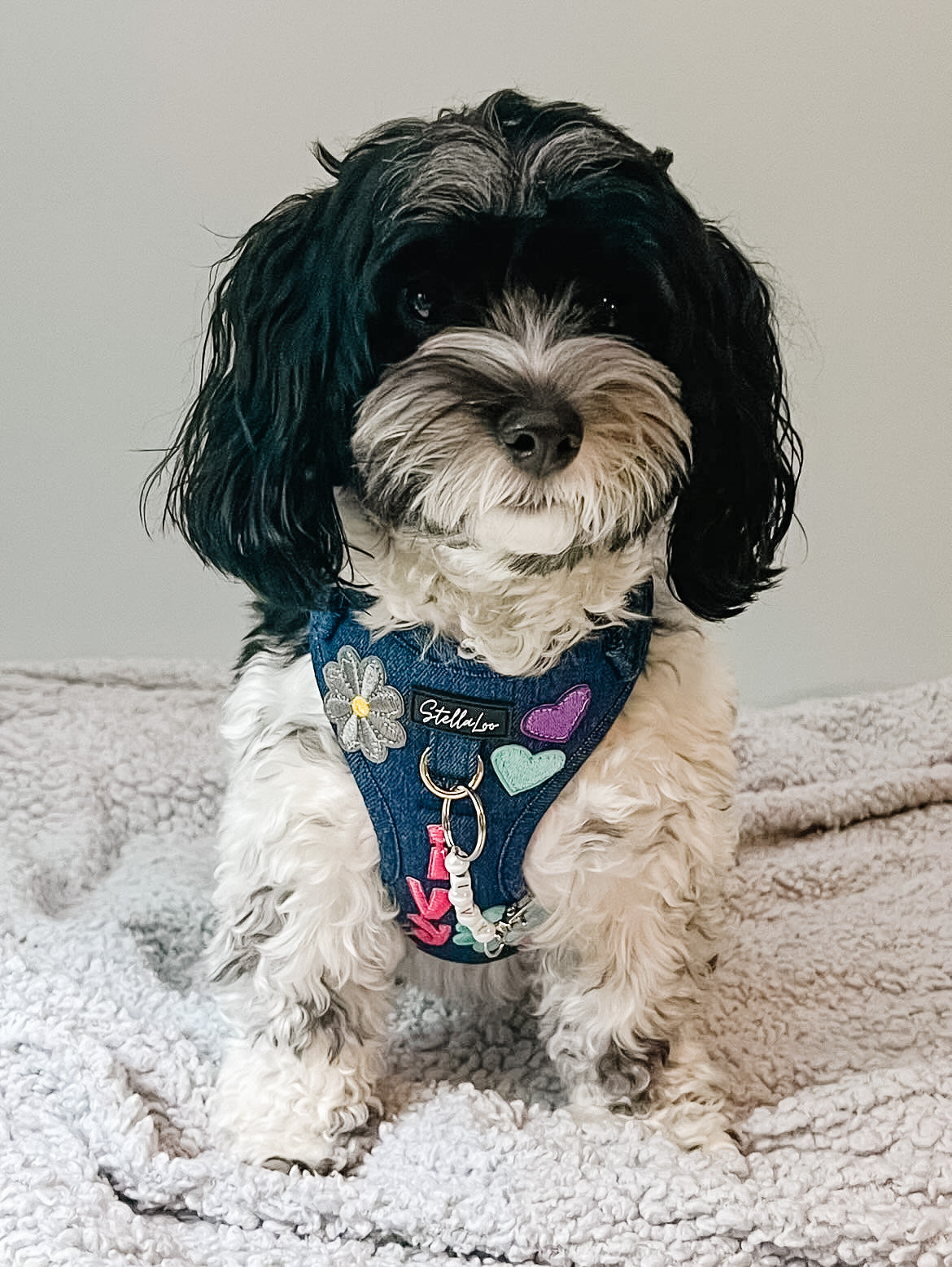 Initial and Fabric Scrap On Patch Add On