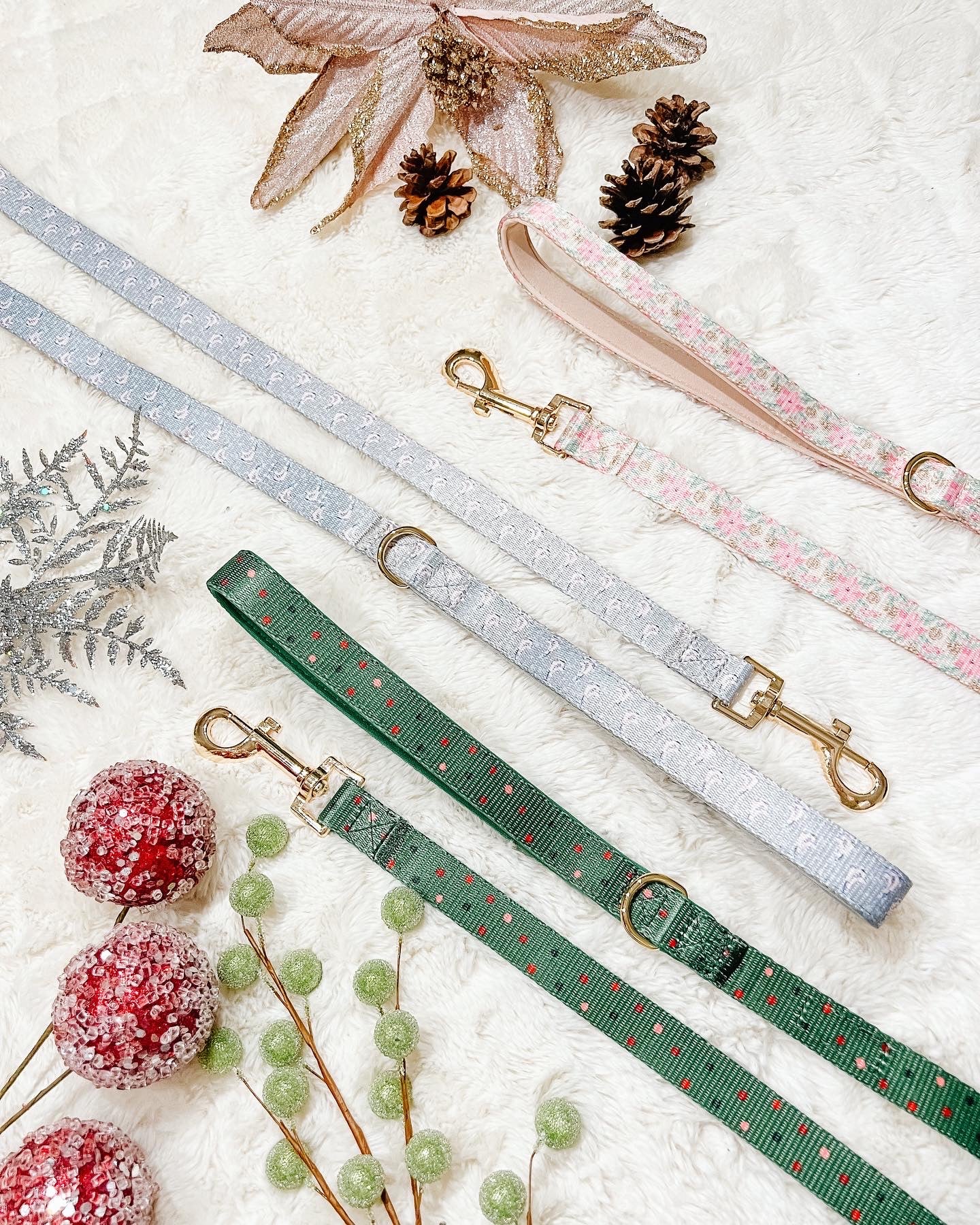 Green Polka Dot Leash