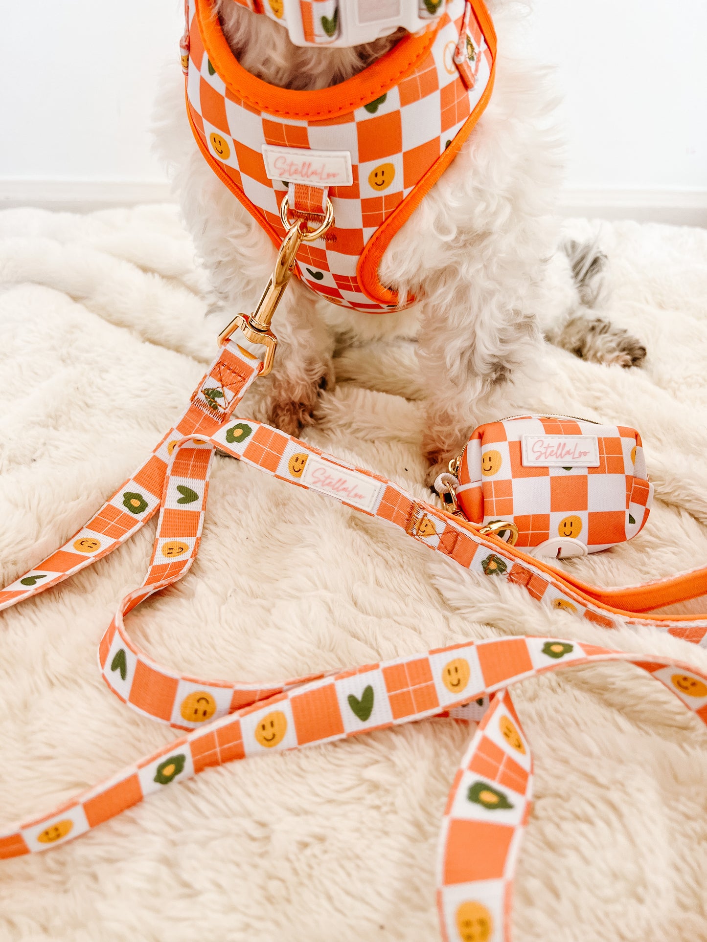 Checkered Harness