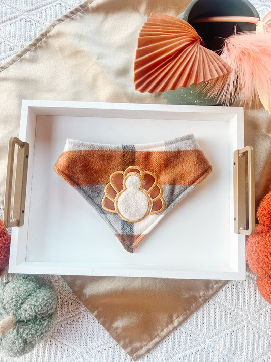 Turkey on Orange Bandana