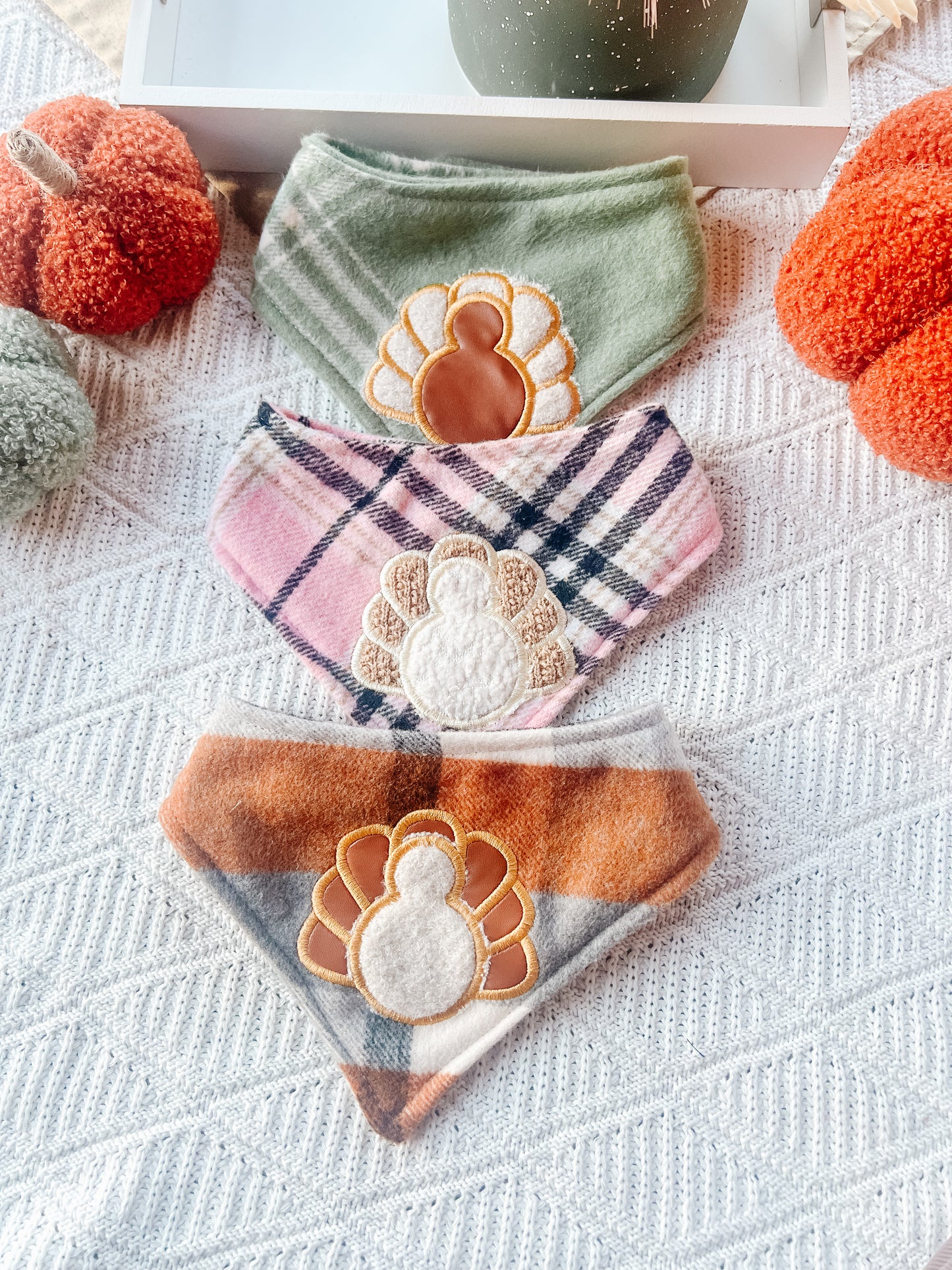 Turkey on Orange Bandana