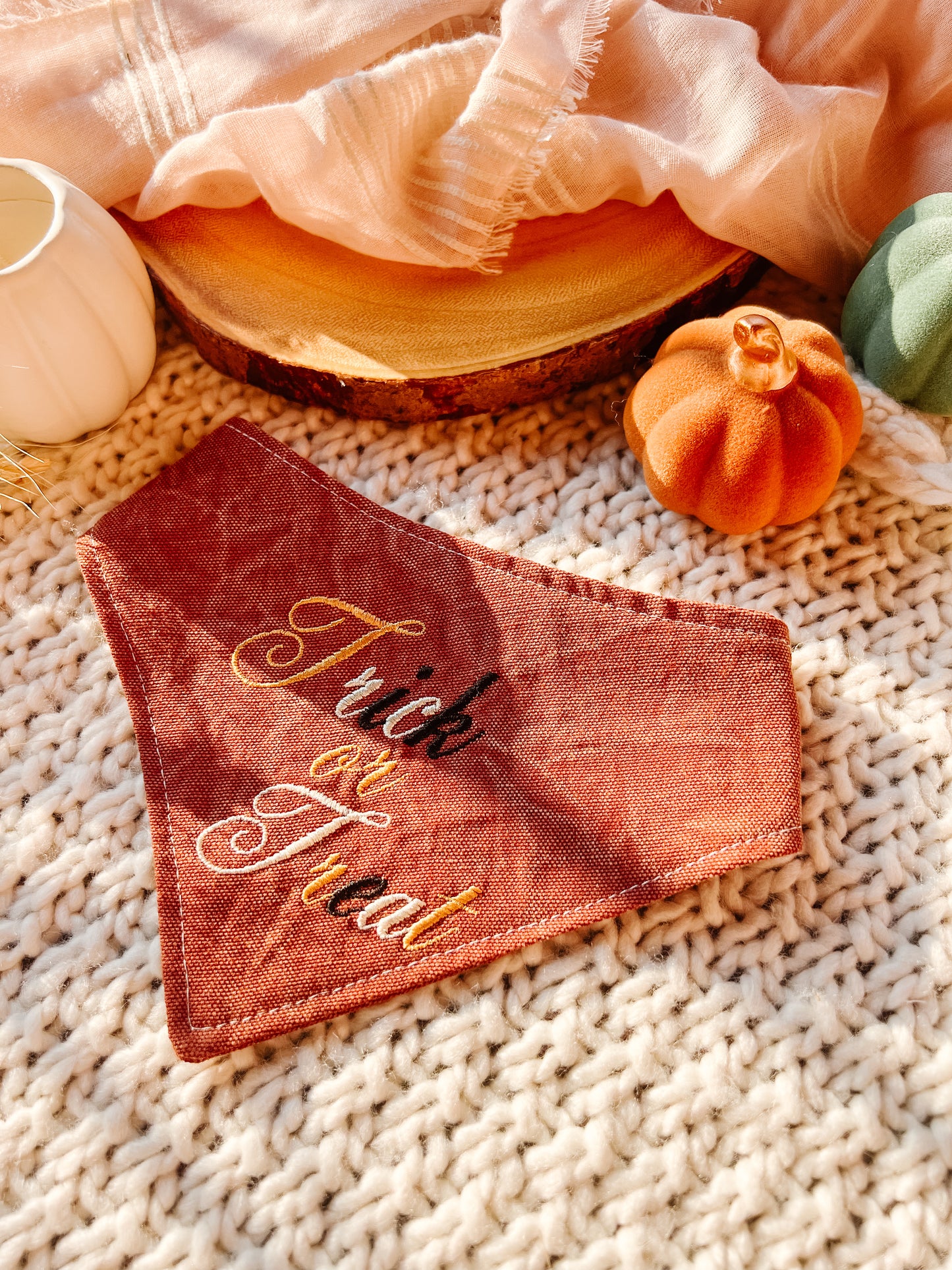 Trick or Treat Bandana