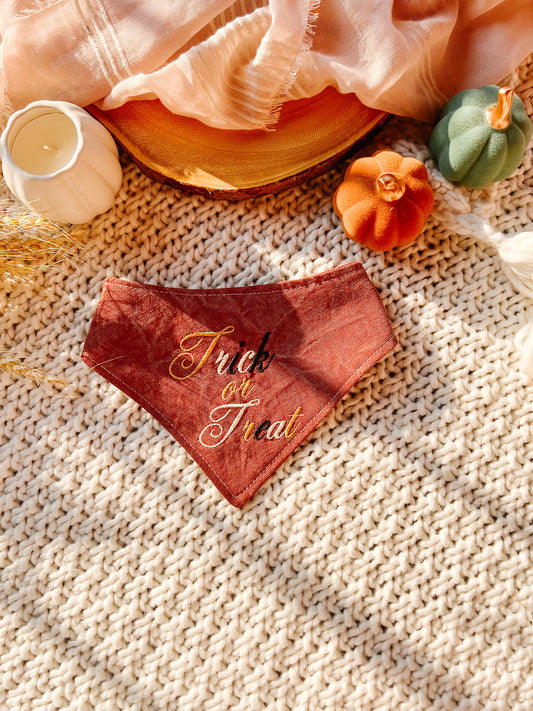 Trick or Treat Bandana
