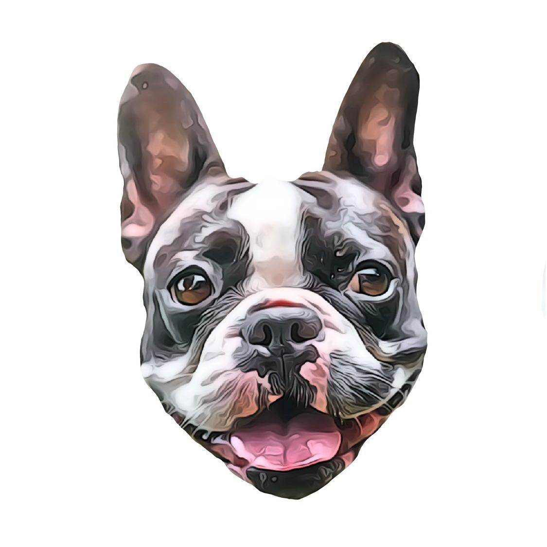 Custom Pet Portrait Set