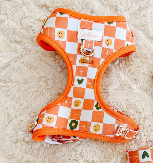 Checkered Harness