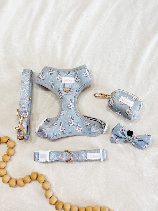 Ice Skate Harness Set